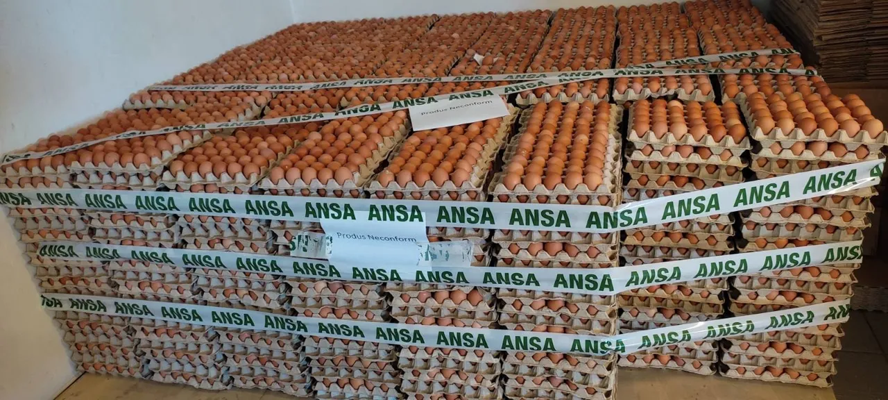 В Молдове изъяли из продажи партию куриных яиц с сальмонеллой