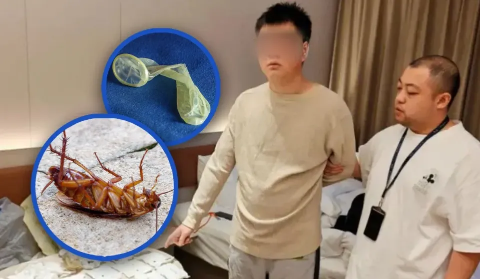 Un călător a păcălit peste 60 de hoteluri prin aruncarea gândacilor în camere