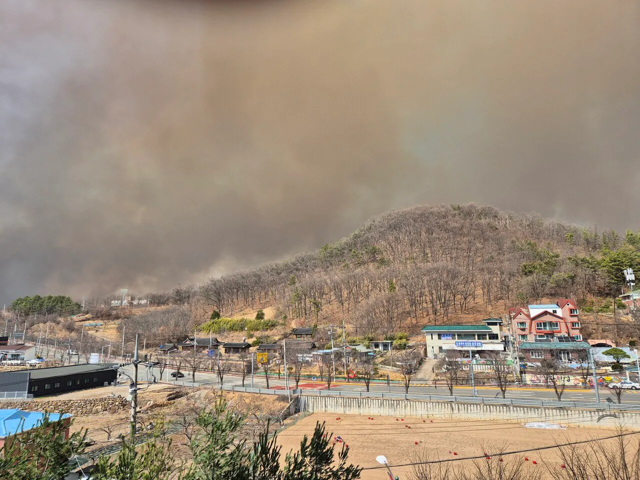 Peste 20 de incendii de vegetație mistuie Coreea de Sud: Există morți și persoane dispărute