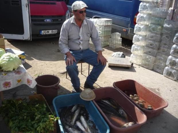Peștele din piețele de la Rezina și Șoldănești, vândut cu abateri. Comercianții s-au ales cu amenzi de mii de lei