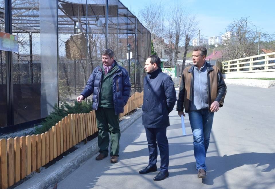 Кодряну: У медведей Маши и Ворчуна будет новый дом