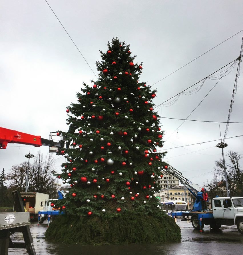 Luminițele principalului pom de Crăciun al țării, aprinse. Cum arată bradul decorat