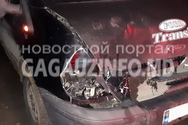 В Томае произошло ДТП: машина сбила осла