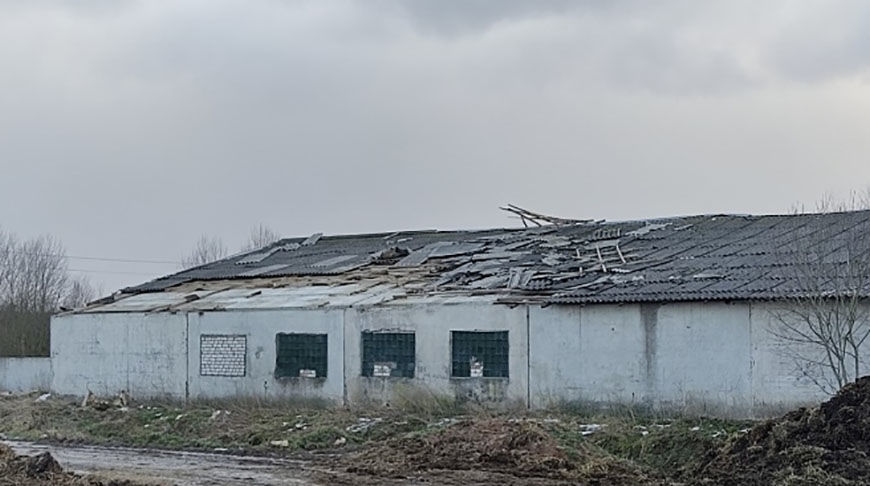 Из-за урагана в Беларуси пострадали 458 населенных пунктов