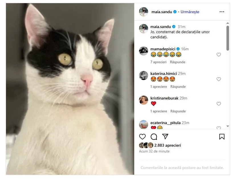 Sandu a publicat o fotografie cu pisica sa, după cuvintele lui Stoianoglo: Jo, consternat de declarațiile unor candidați