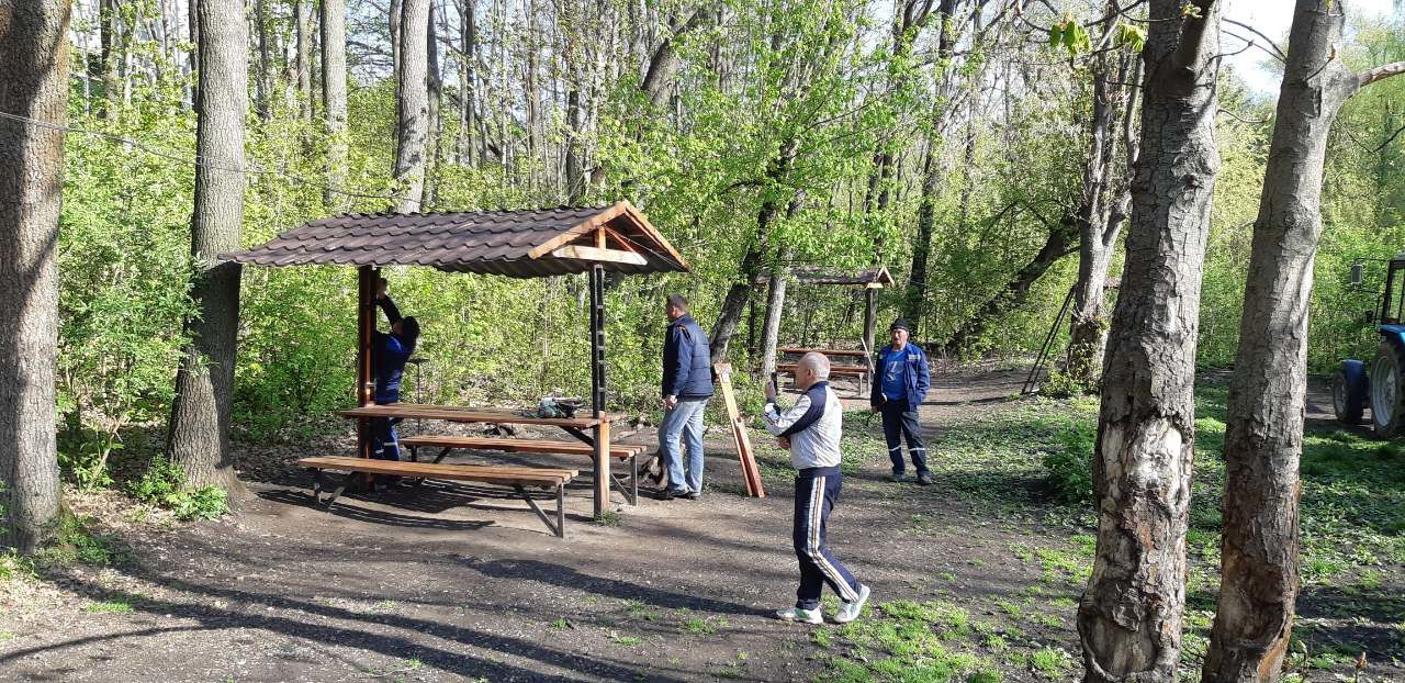 В Кишиневе демонтируют незаконно установленные беседки в парке
