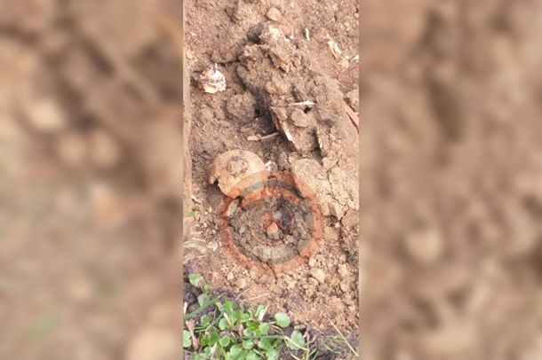 Возле Верховной Рады нашли человеческие останки