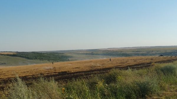 В Гагаузии пожарные ликвидировали возгорание на поле