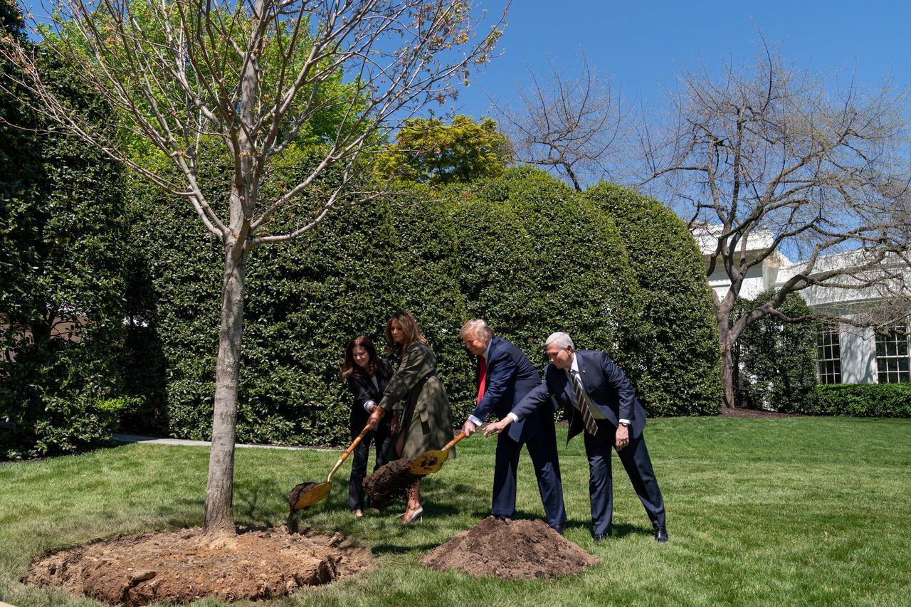 Мелания Трамп впервые за долгое время появилась на публике