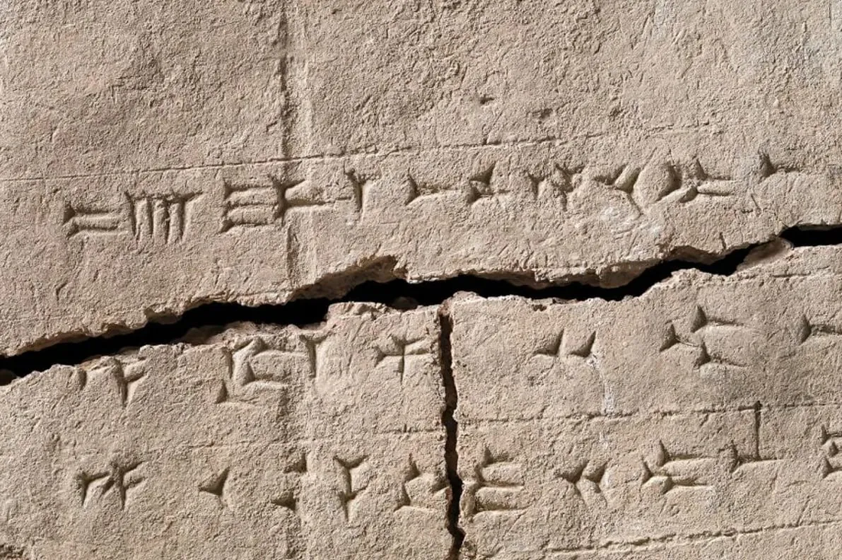 Ученые извлекли ДНК из глиняного кирпича возрастом 2 900 лет