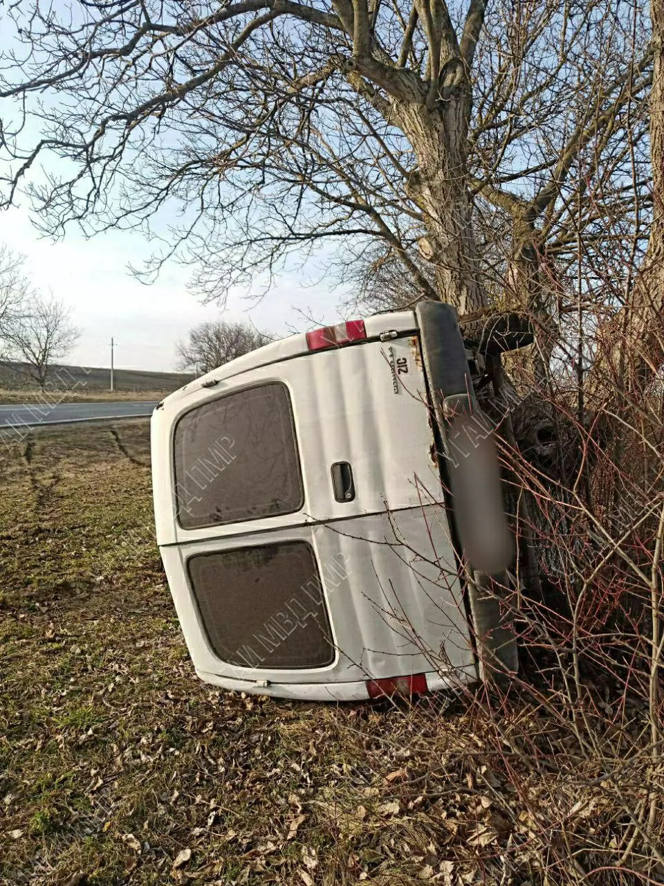 В Рыбницком районе произошло ДТП: автомобиль врезался в дерево