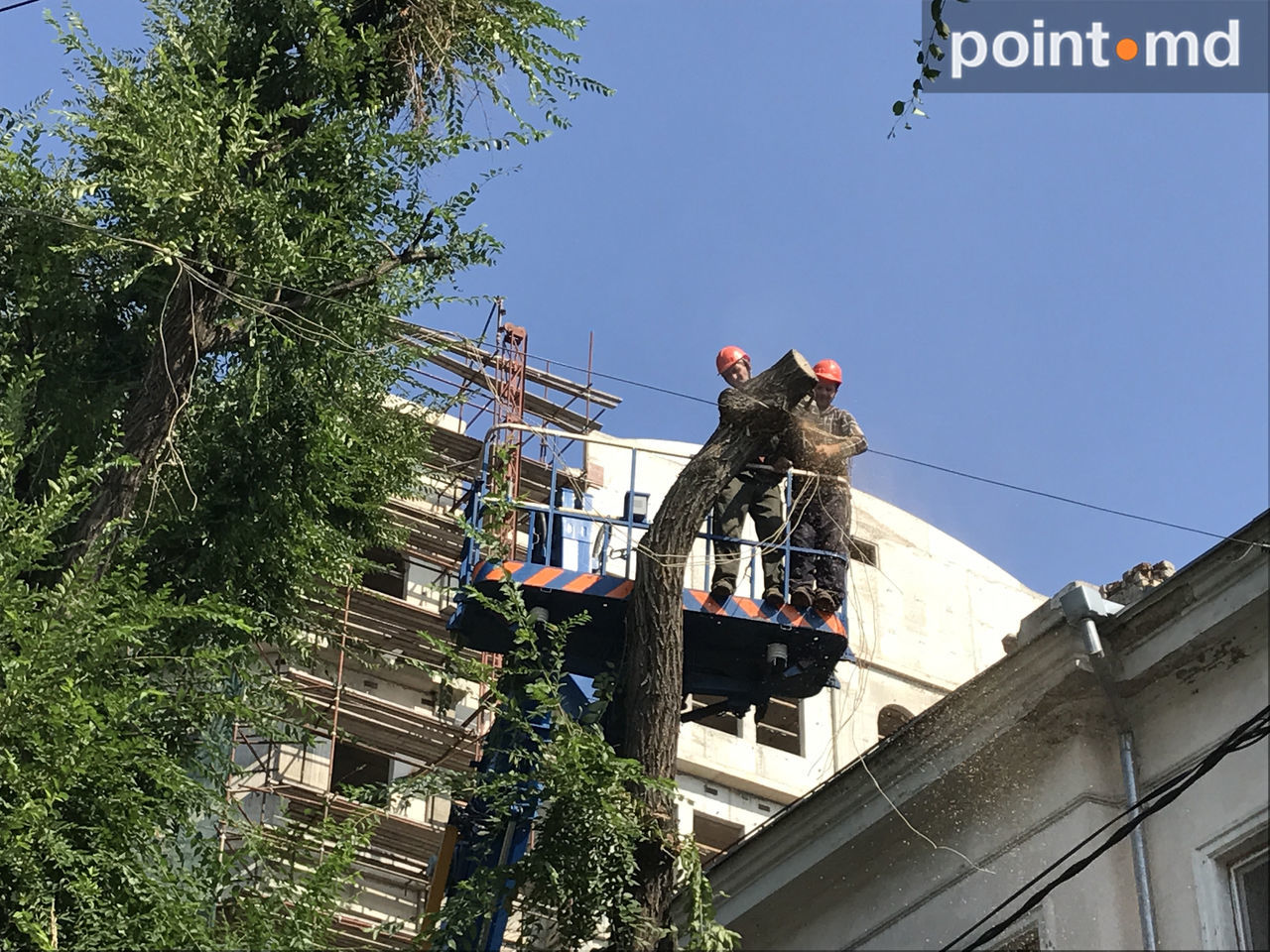На бульваре Штефана чел Маре продолжают пилить деревья