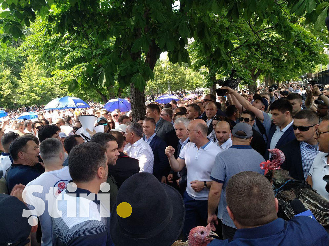 Сторонники ДПМ принесли к президентуре индюков, несколько птиц погибли
