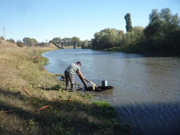 Gardurile ilegale de pe Răut au fost scoase practic în totalitate