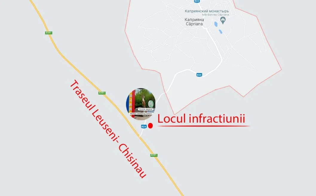 Вандалы украли фигуру оленя с въездного знака в селе Кэприяны