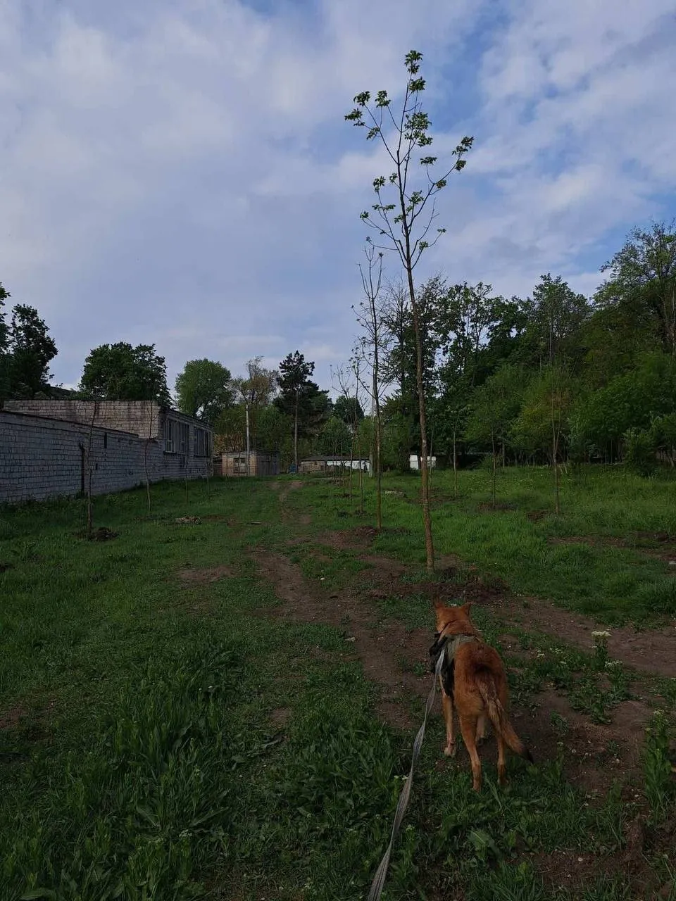 Mai multe jardiniere pentru flori, vandalizate în Parcul-pădure Râșcani