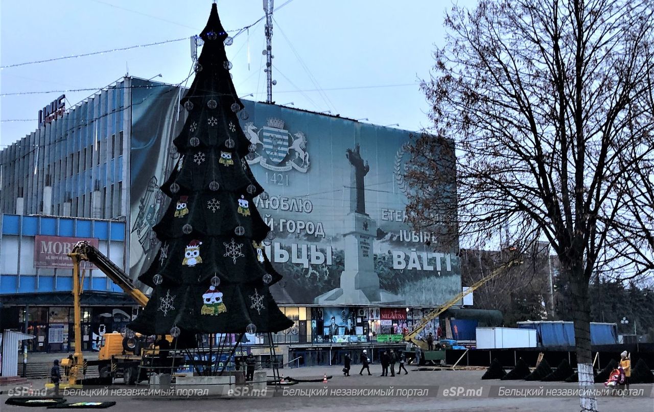 В Бельцах установили новогоднюю ёлку