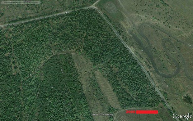 Păduri, rămase „pleșuve” după darea în arendă. Cum s-a schimbat o fâșie forestieră din preajma s. Colonița timp de trei ani