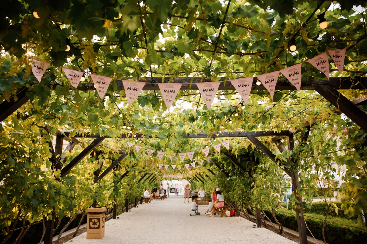 Rosé Day в Castel Mimi: Встречайте лето зрелищно