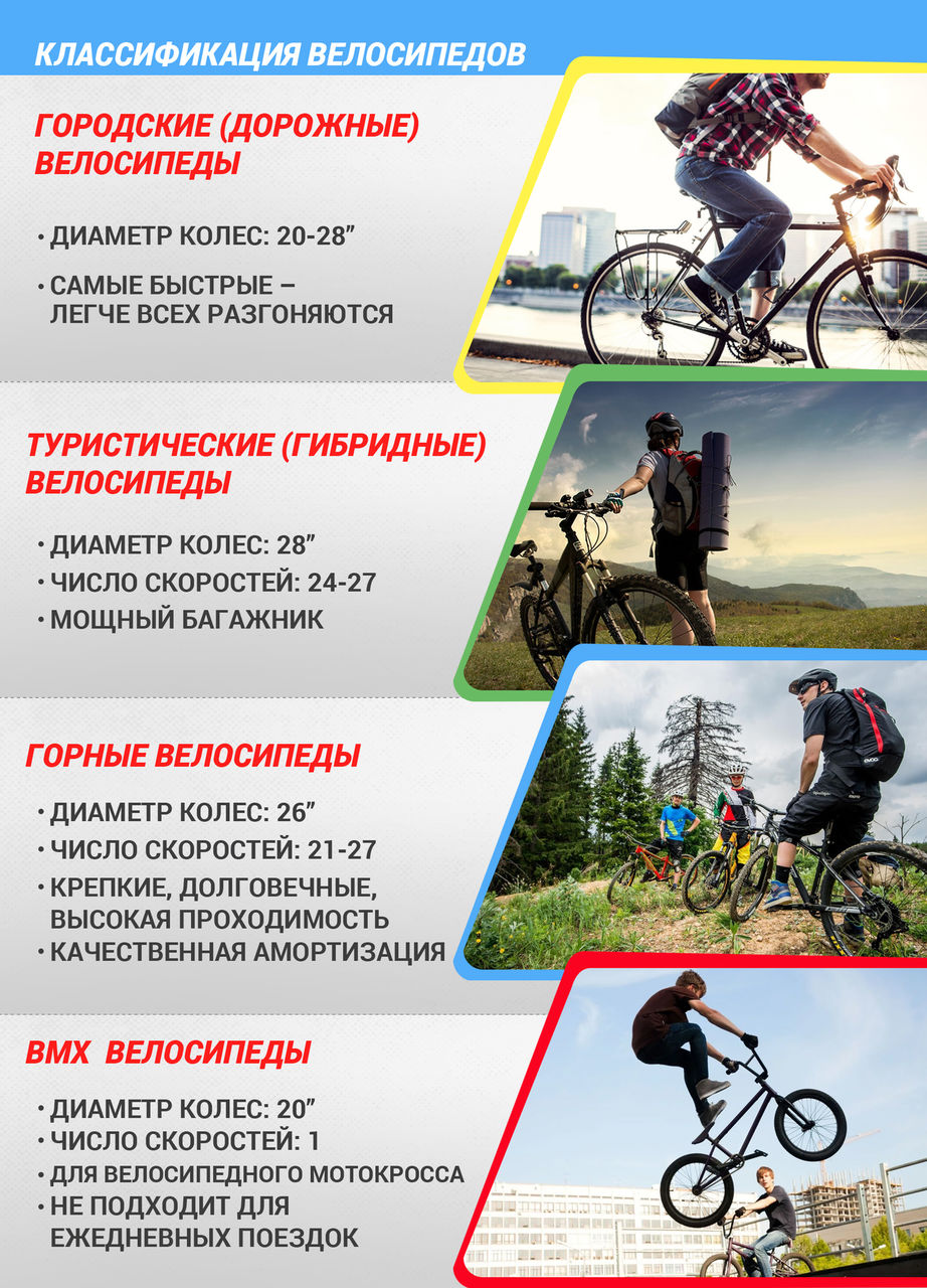 Sportlandia: выбор велосипеда — научный подход ®