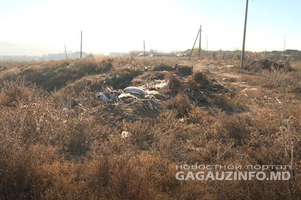 Примэрия Комрата намерена с помощью камер победить нелегальные свалки