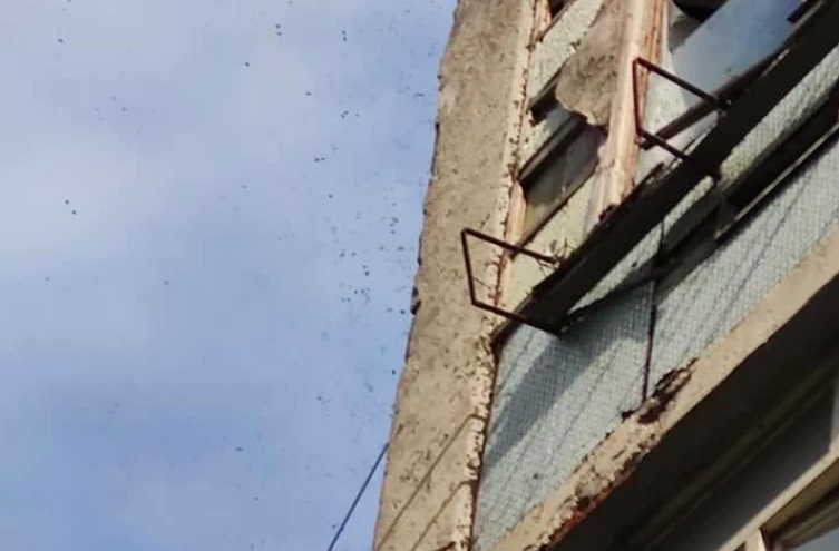 Рой пчел «взял штурмом» балкон квартиры в столичном секторе Ботаника
