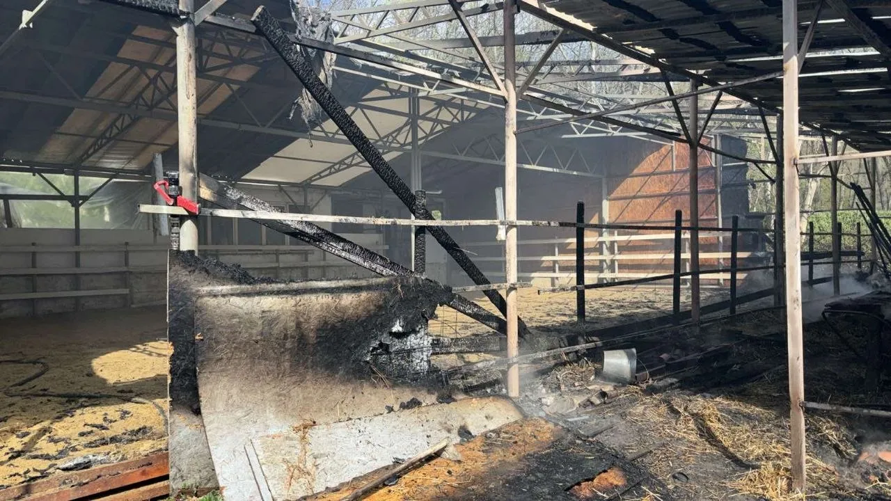 На улице Каля Орхеюлуй в столице возник пожар