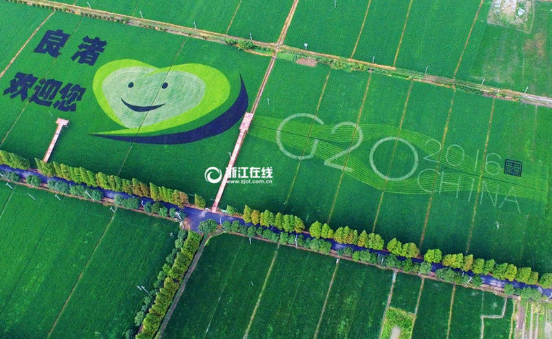 На рисовом поле в Китае появился смайлик для G20