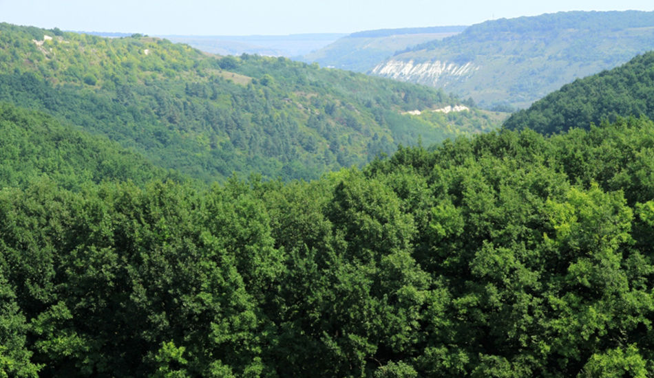 Destinații de weekend: 11 defileuri din Moldova pe care trebuie să le vezi