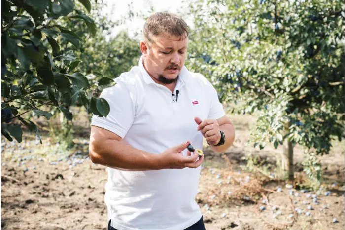 В Молдове обновляют сады из-за роста поставок продукции в ЕС
