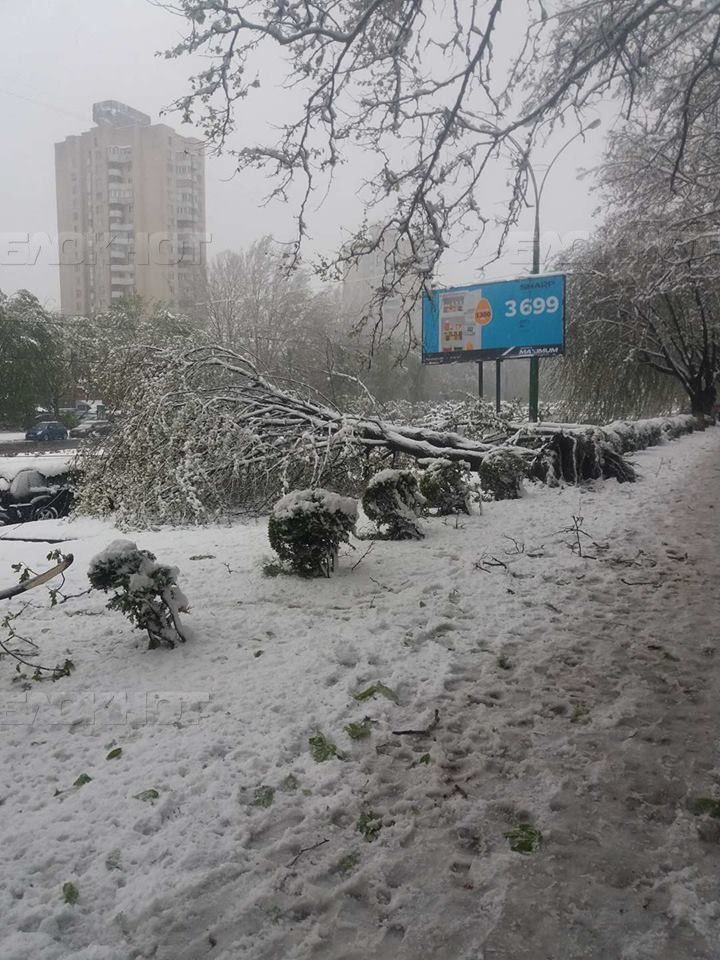 К «Воротам города» не ходят троллейбусы из-за оборванных деревьями проводов
