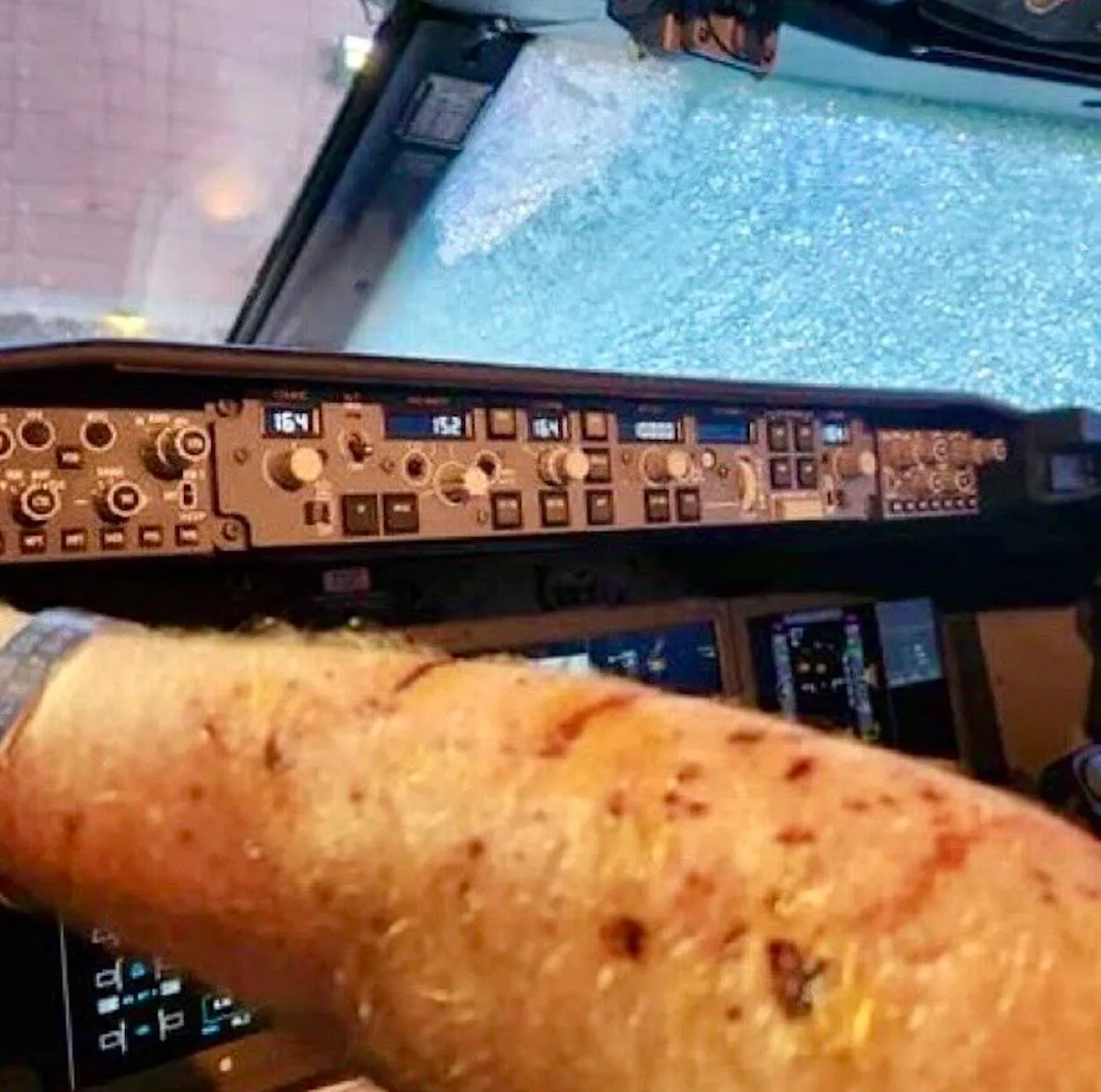 В США у самолета Boeing 737 на высоте 10 тыс. м лопнуло лобовое стекло