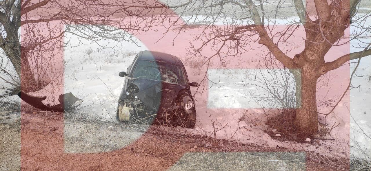 В Фалештах автомобиль врезался в дерево