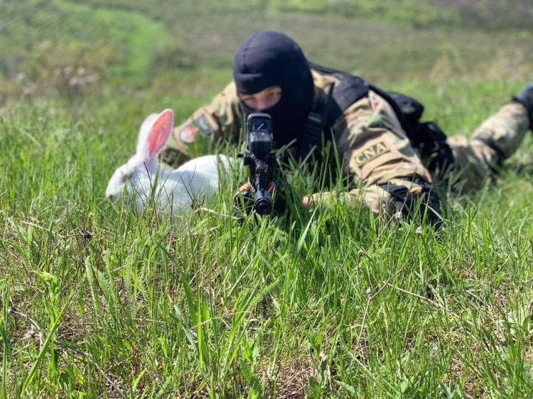 Офицеры НЦБК с кроликами и оружием: Мы можем быть белыми и пушистыми