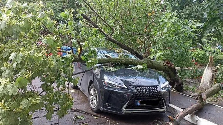 В результате непогоды в Кишиневе поваленное дерево повредило авто