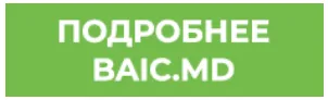 GBS: Ликвидация стока BAIC X55 II 2024 года
