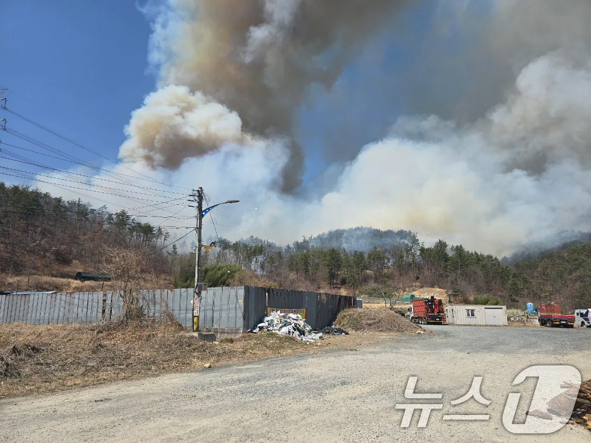 Peste 20 de incendii de vegetație mistuie Coreea de Sud: Există morți și persoane dispărute