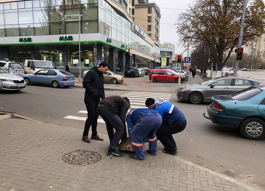 Без незаконных парковок: тротуар на Московском проспекте освободили от машин