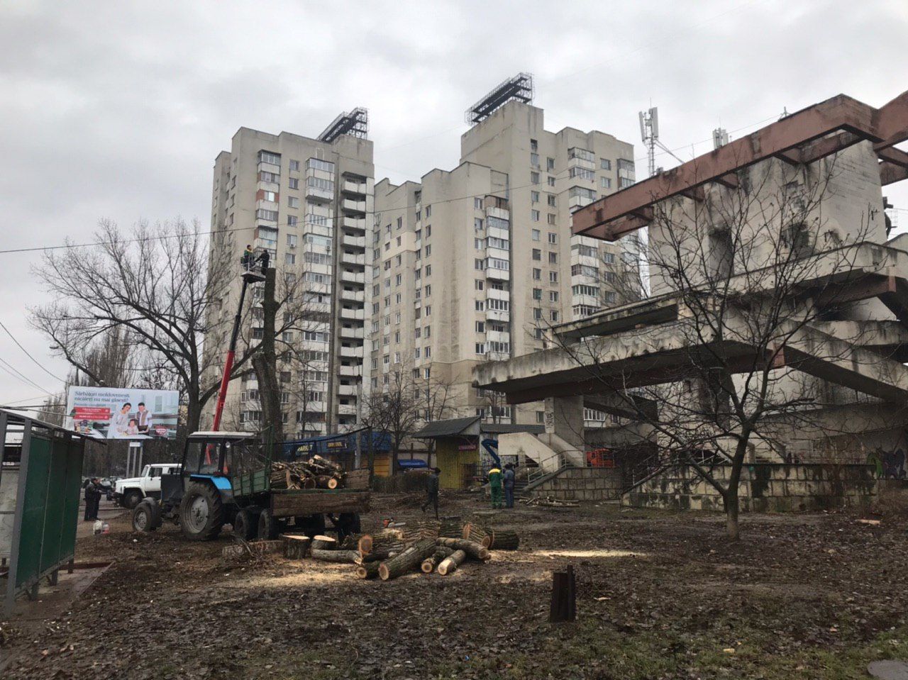 В Кишиневе возле канатной дороги вырубают деревья и работают геодезисты