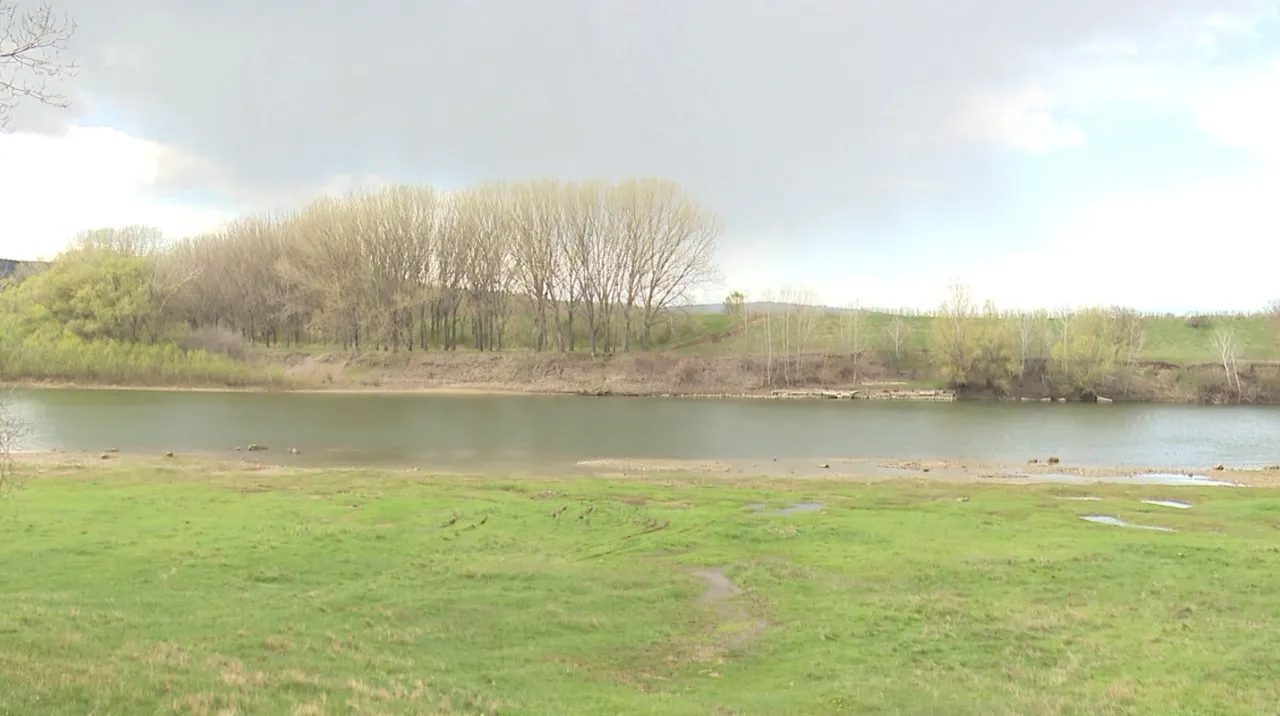 Экологи требуют от властей срочных мер из-за обмеления Днестра