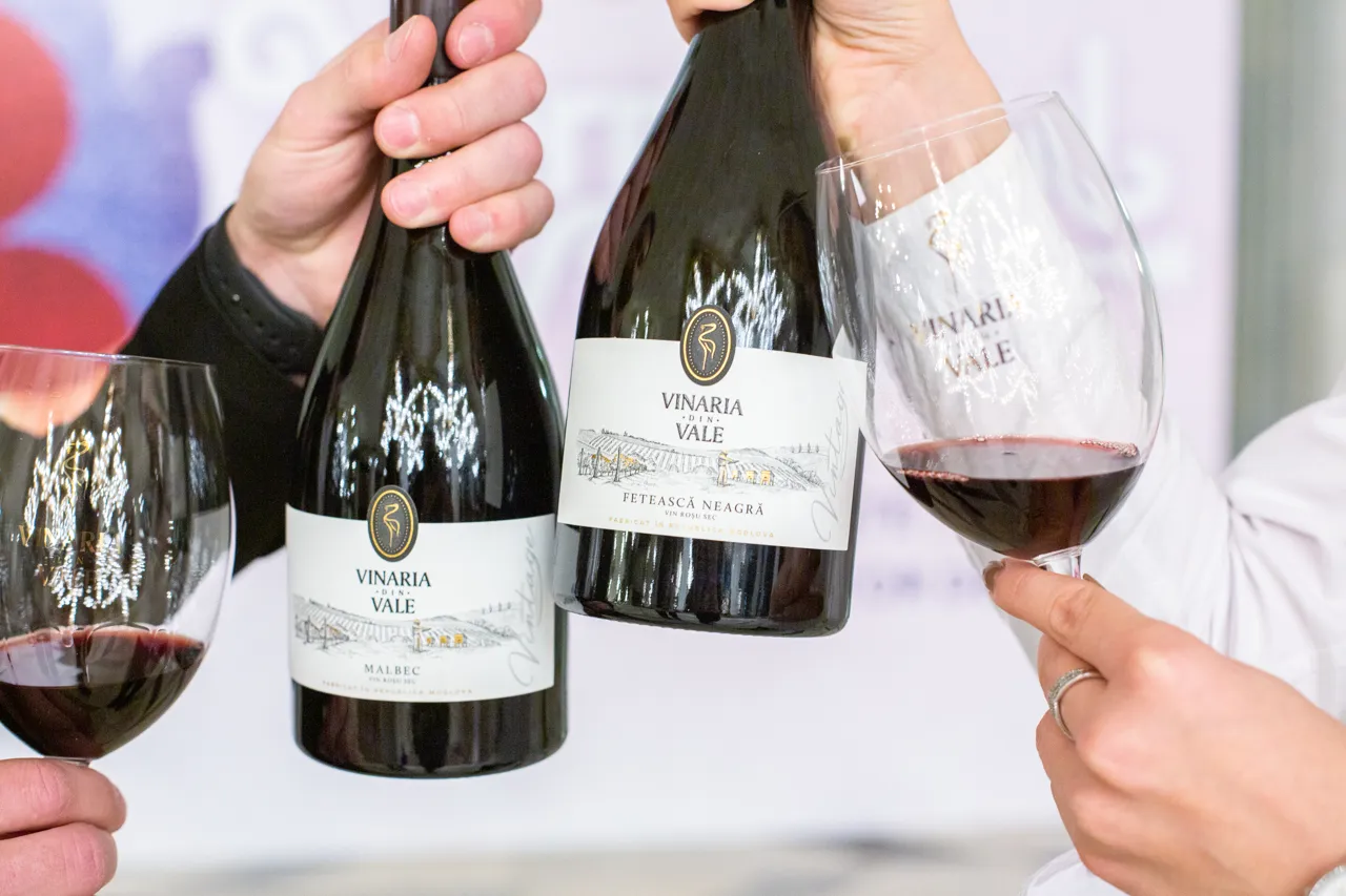 Vinaria din Vale: Feteasca Neagră Vintage – вино "Вернисажа-2024"