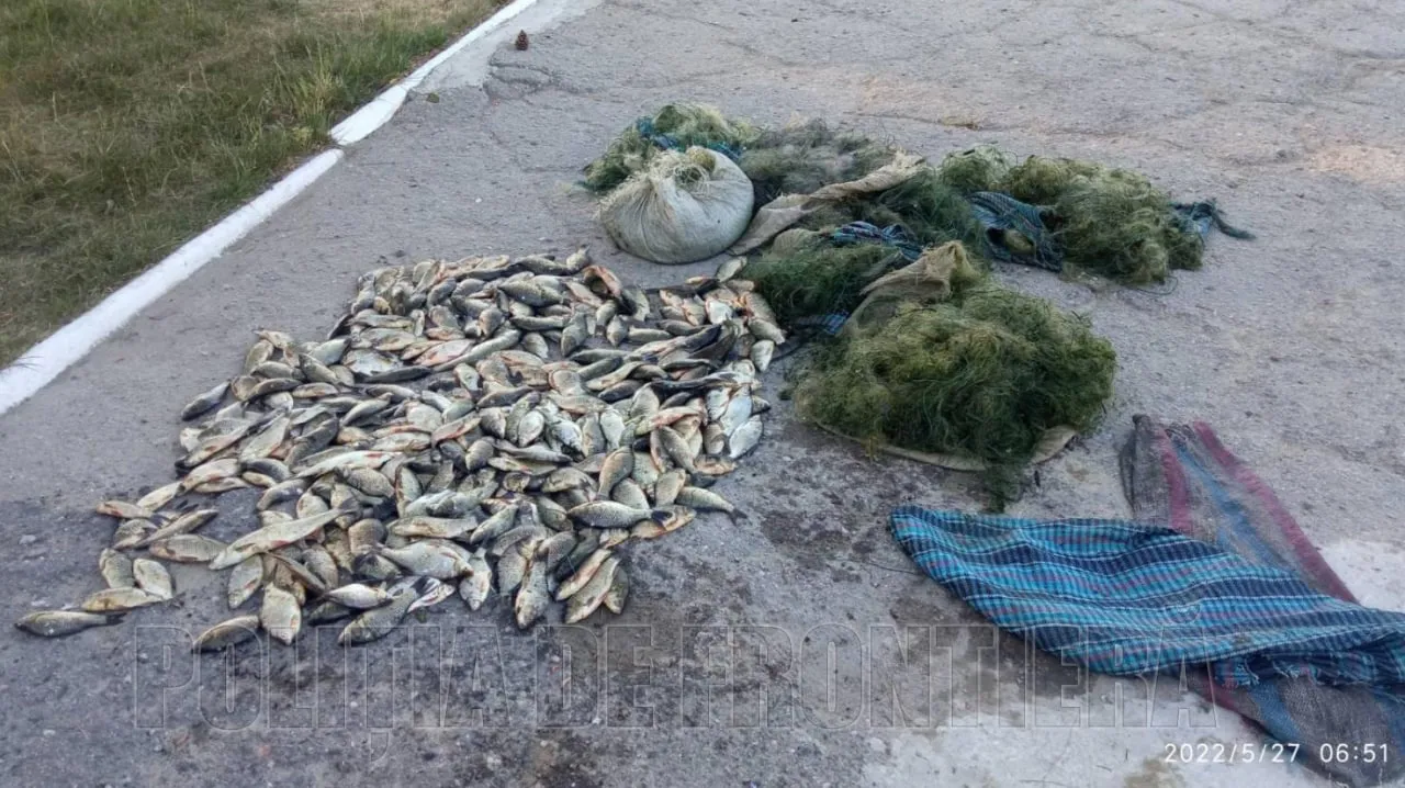 В Кагульском районе задержаны браконьеры