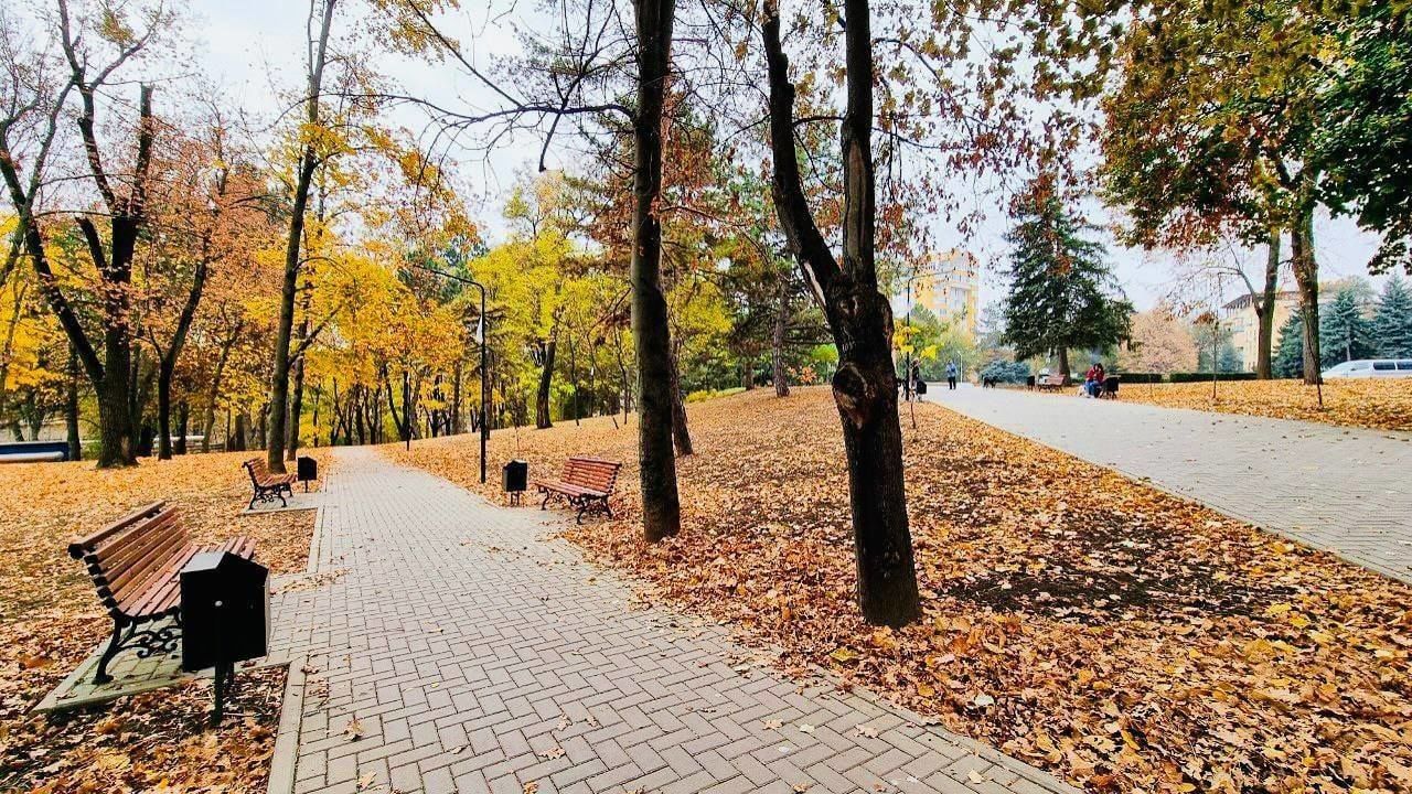 В сквере на Рышкановке продолжаются восстановительные работы