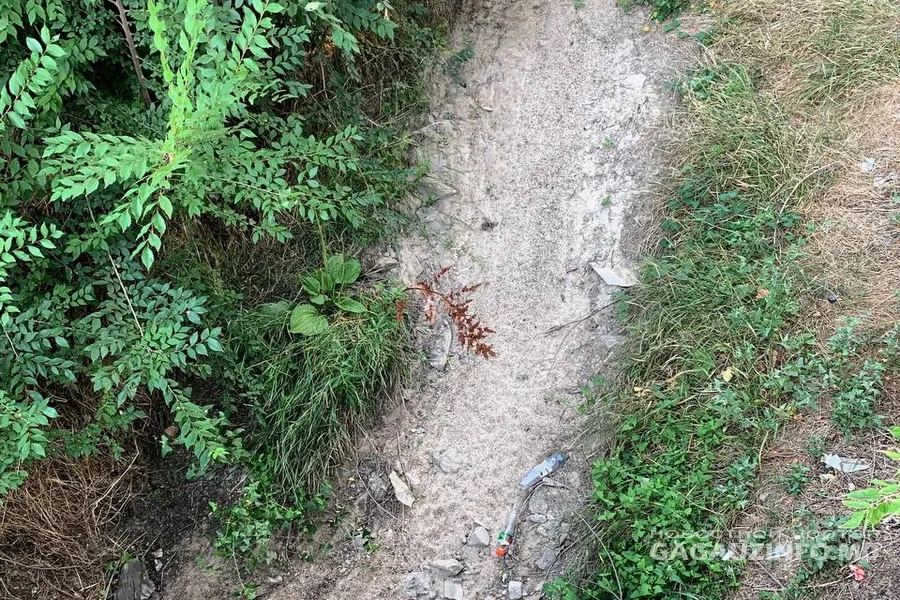 Ни капли воды: в Чадыр-Лунге пересохла река