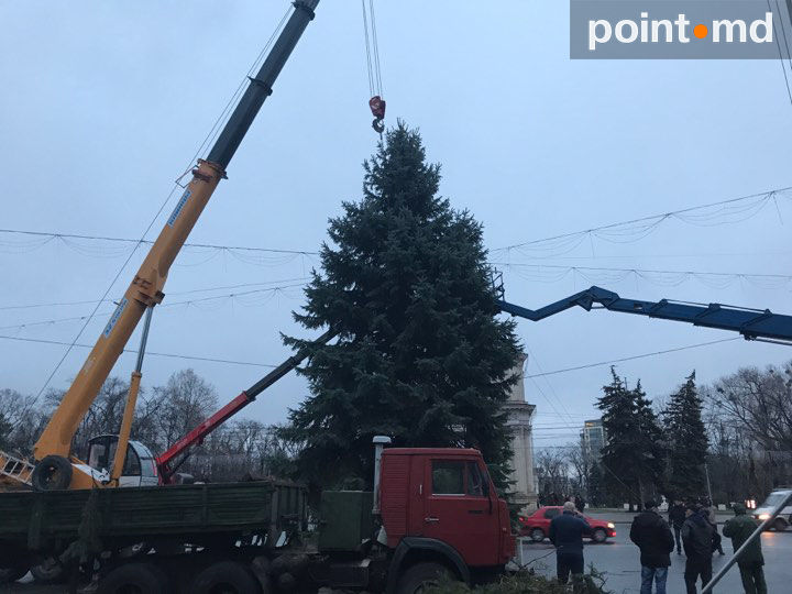 На центральной площади Кишинева установили новую елку