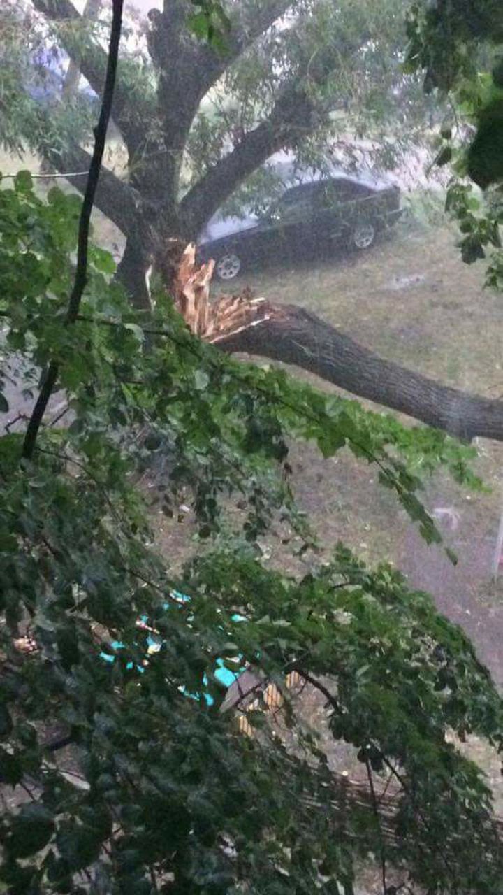 Проливной дождь и шквалистый ветер причинили немалый ущерб на севере страны