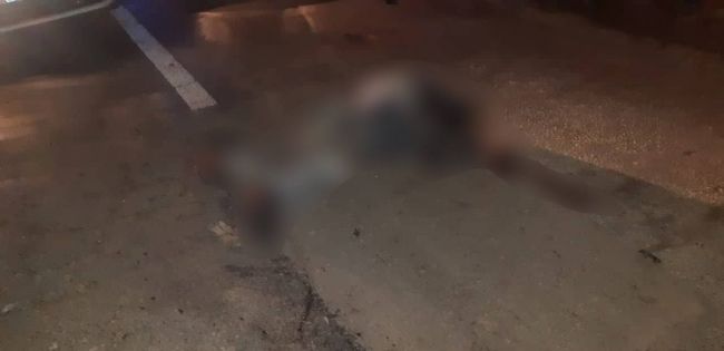 Под Каушанами водитель насмерть сбил человека и попытался скрыться