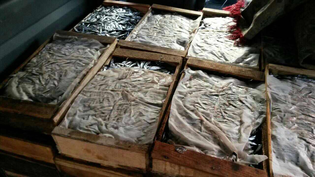 Peste 500 de kg de pește, fără acte de proveniență, depistate de polițiști