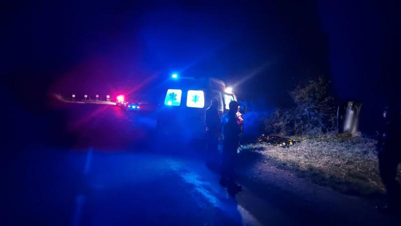 В Сынжерейском районе автомобиль врезался в дерево: водитель погиб