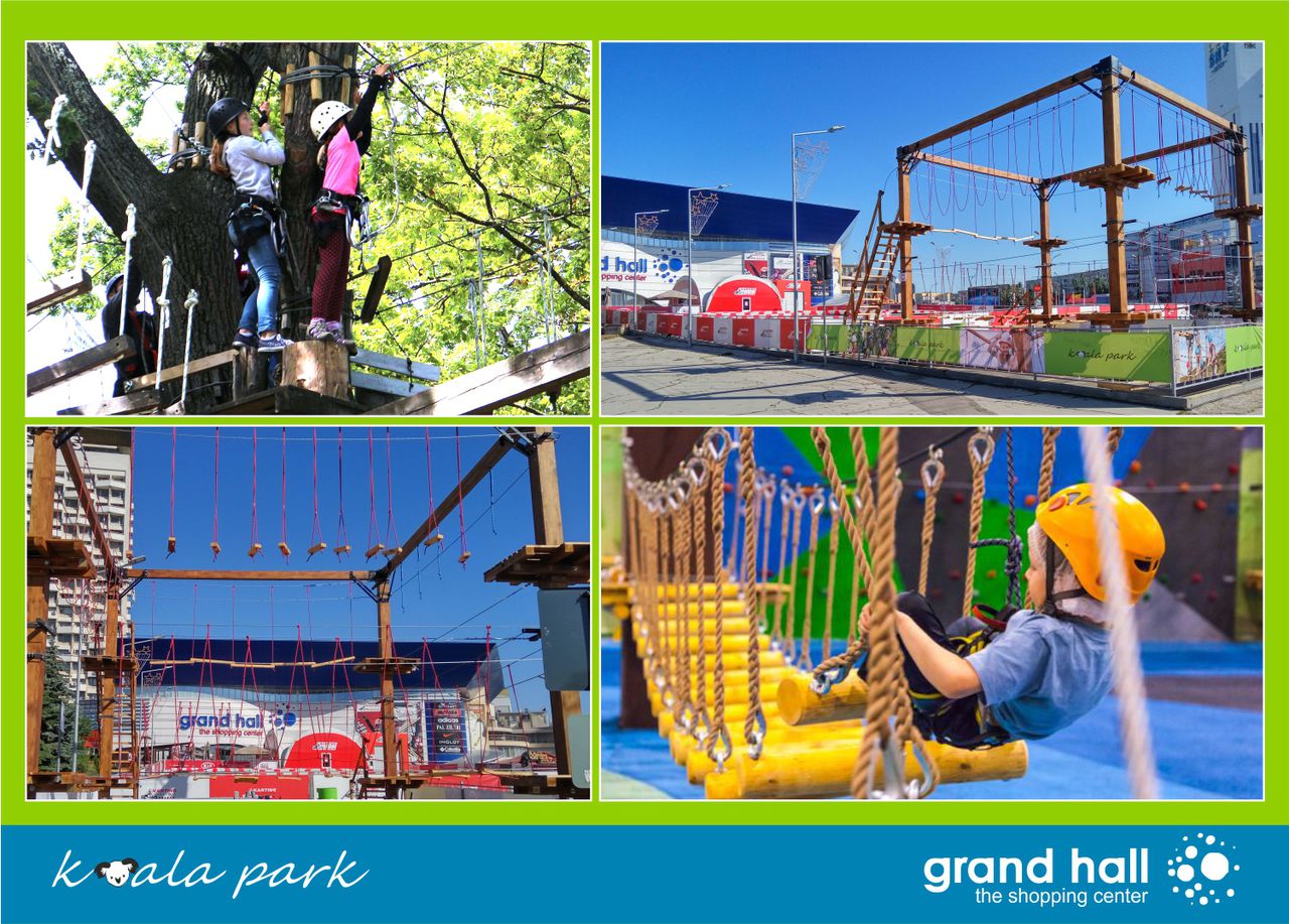Grand Hall: Веревочный парк приключений Coala Park!! ®